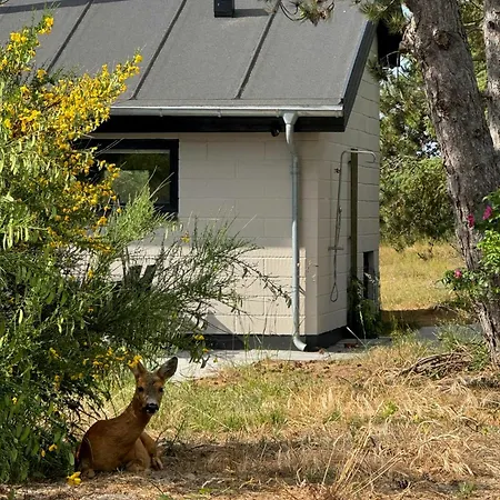 Beachfront With Sea View And Wild Nature *