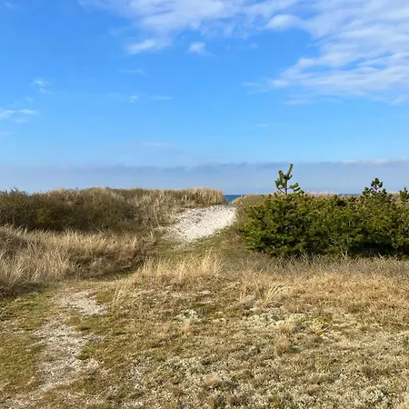 Beachfront With Sea View And Wild Nature