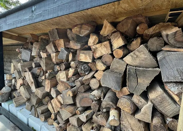 Beachfront With Sea View And Wild Nature